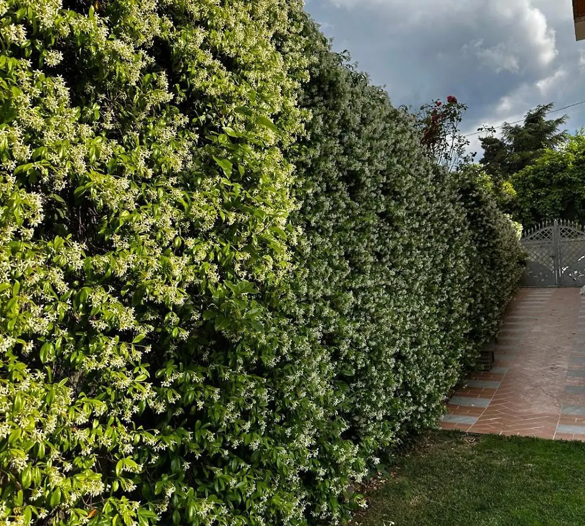 فوني B&B La Dolce Sosta فندق مبيت وإفطار